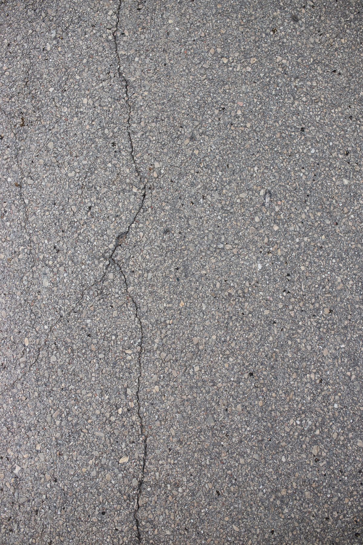 Fine branching cracks in a grey asphalt surface.