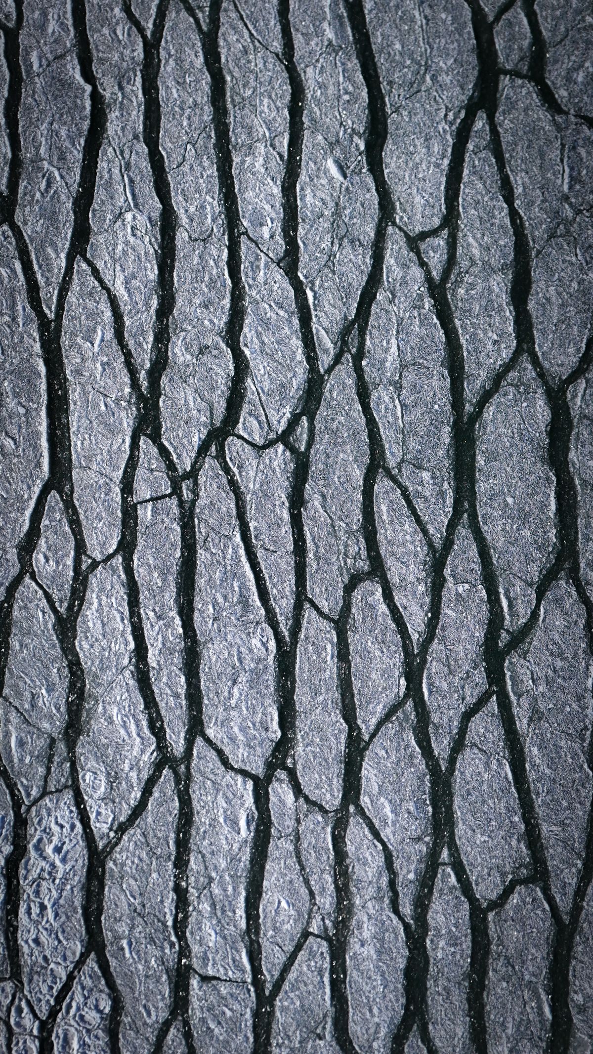 Network of dark cracks across a weathered paved surface.