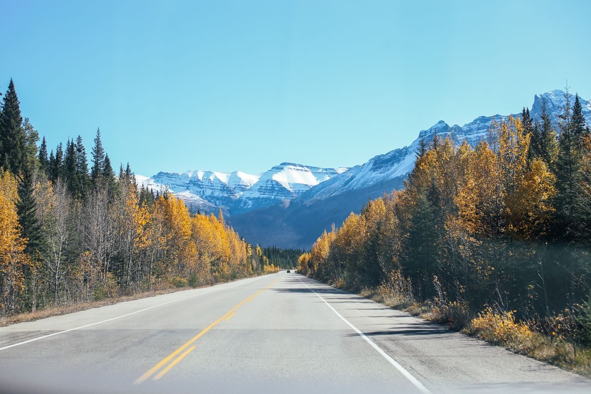 Two-lane asphalt road through trees beneath distant mountains.
