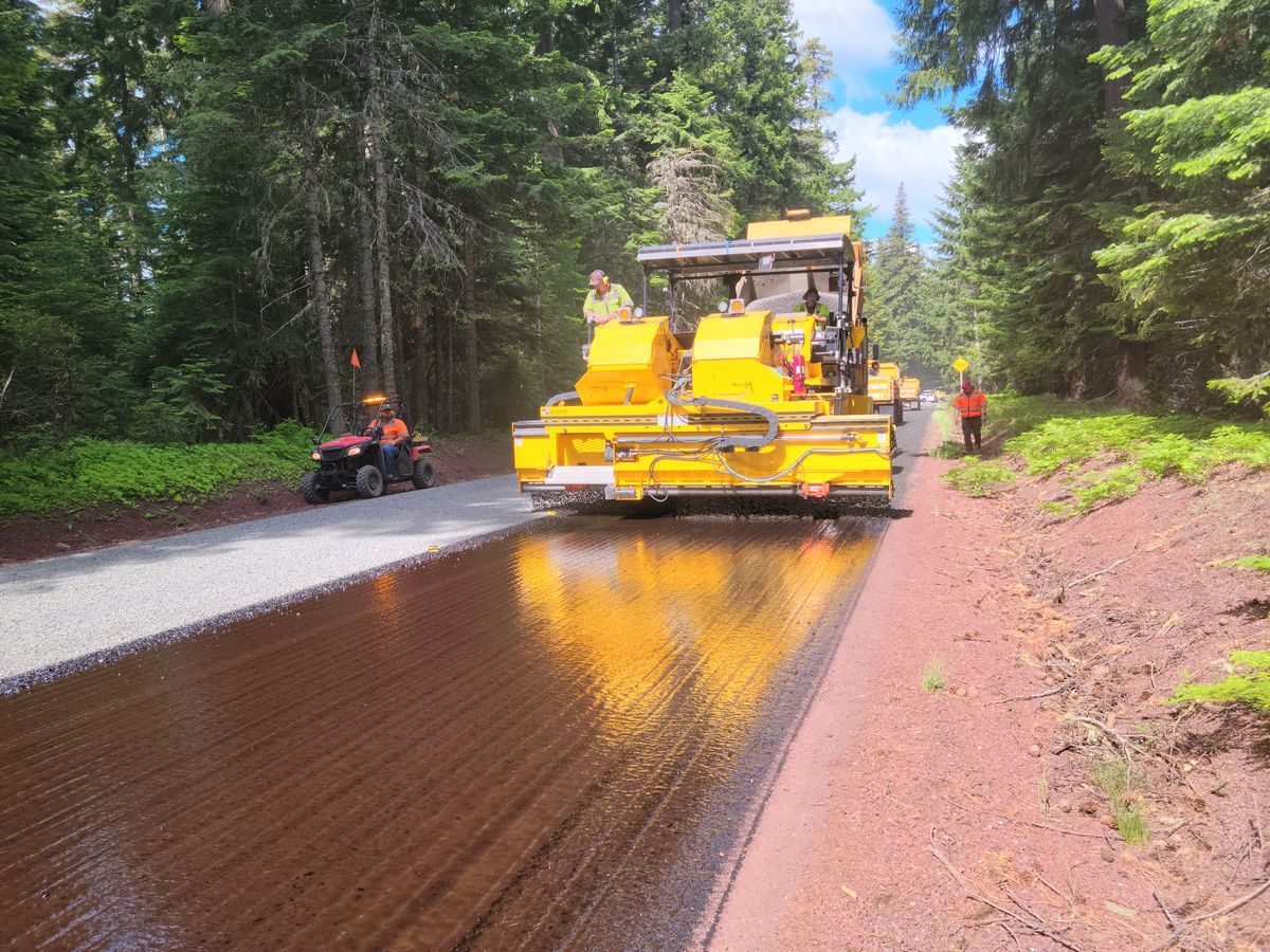 Yellow paving equipment working along a forest road.
