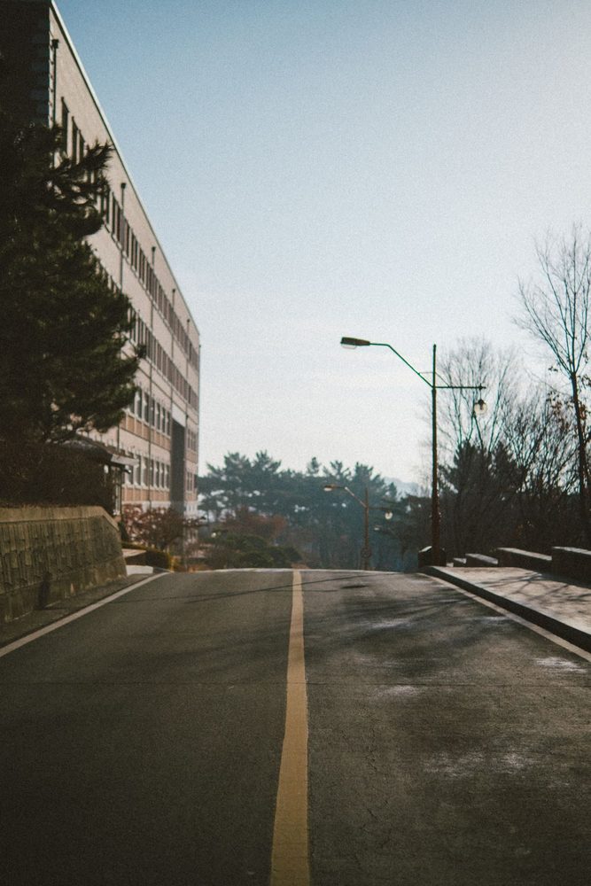Quiet paved street bordered by a sidewalk and streetlights.