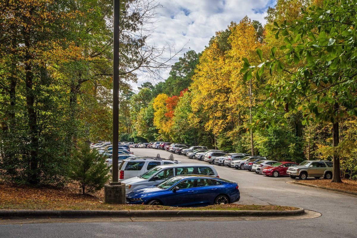 Paved parking aisle with cars and autumn trees.