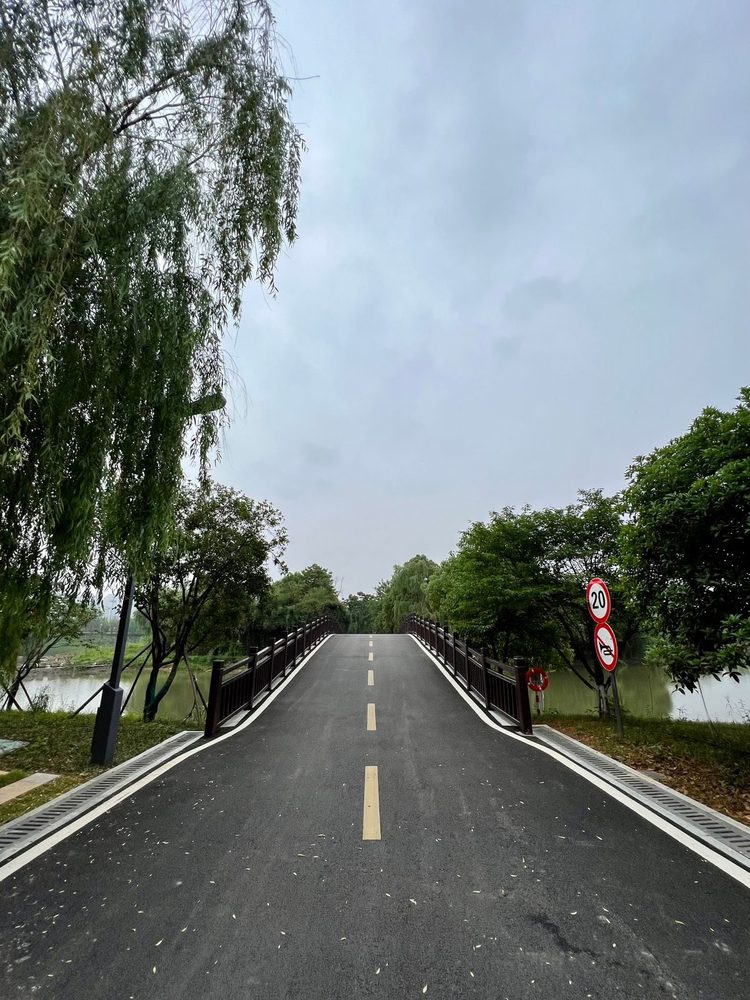 Marked asphalt path crossing a bridge between green trees.