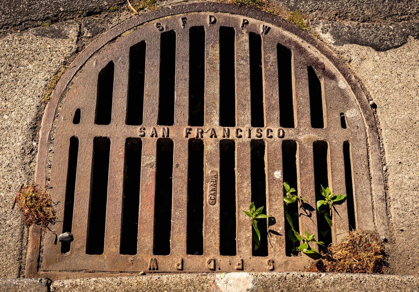 Metal street drain grate set into pavement.