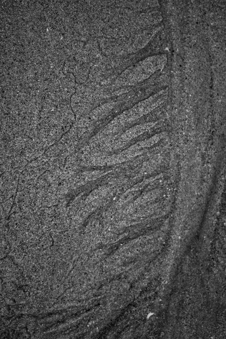 Close view of a crack running through asphalt.